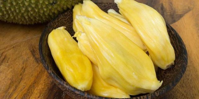 十分钟年华老去：大提琴篇