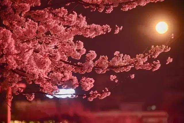 利比里亚：寻宝之旅